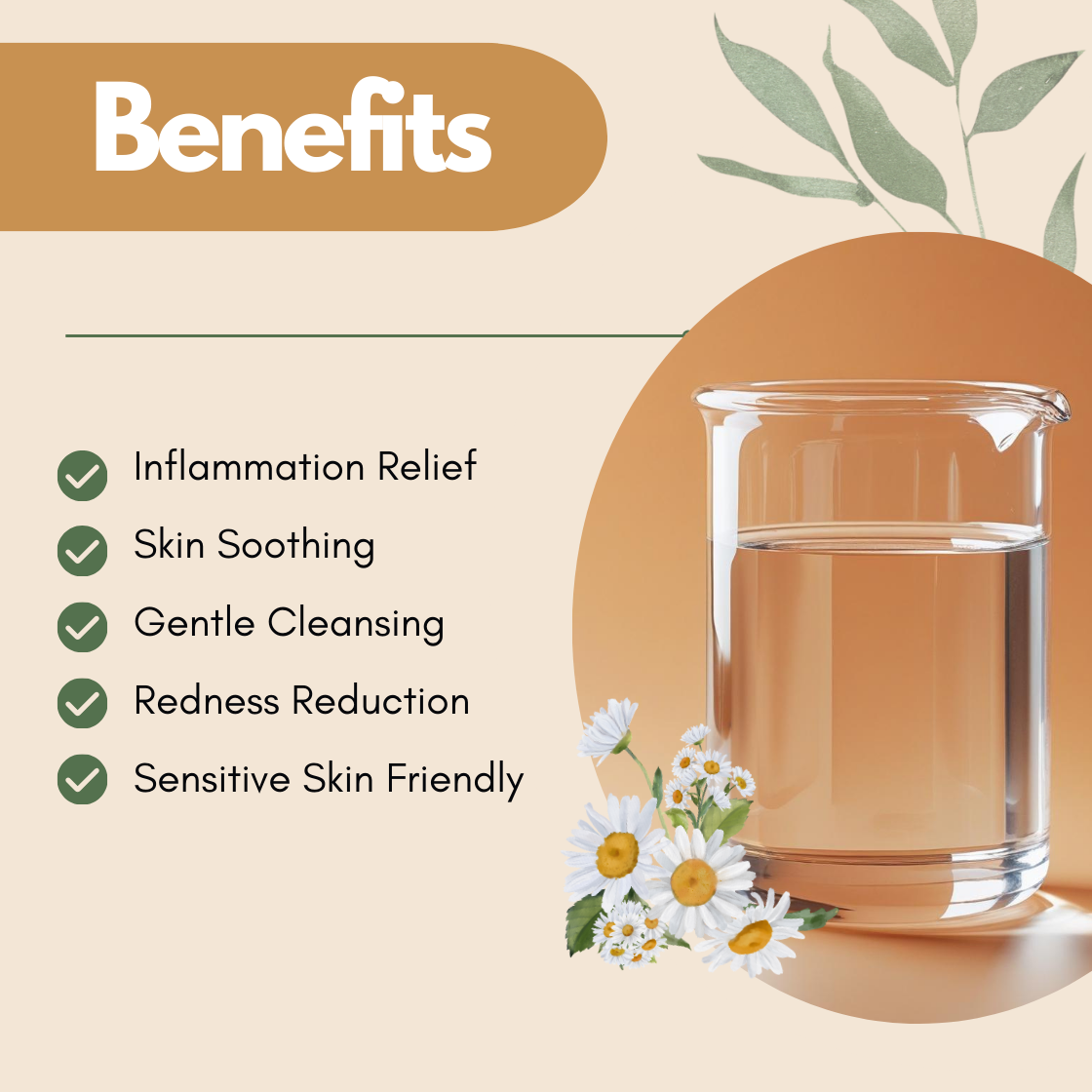 Benefits layout featuring a glass beaker and chamomile flowers illustration. The text reads Inflammation Relief, Skin Soothing, Gentle Cleansing, Redness Reduction, Sensitive Skin Friendly. This chamomile hydrosol benefits image emphasizes its calming floral water properties for sensitive skin care.