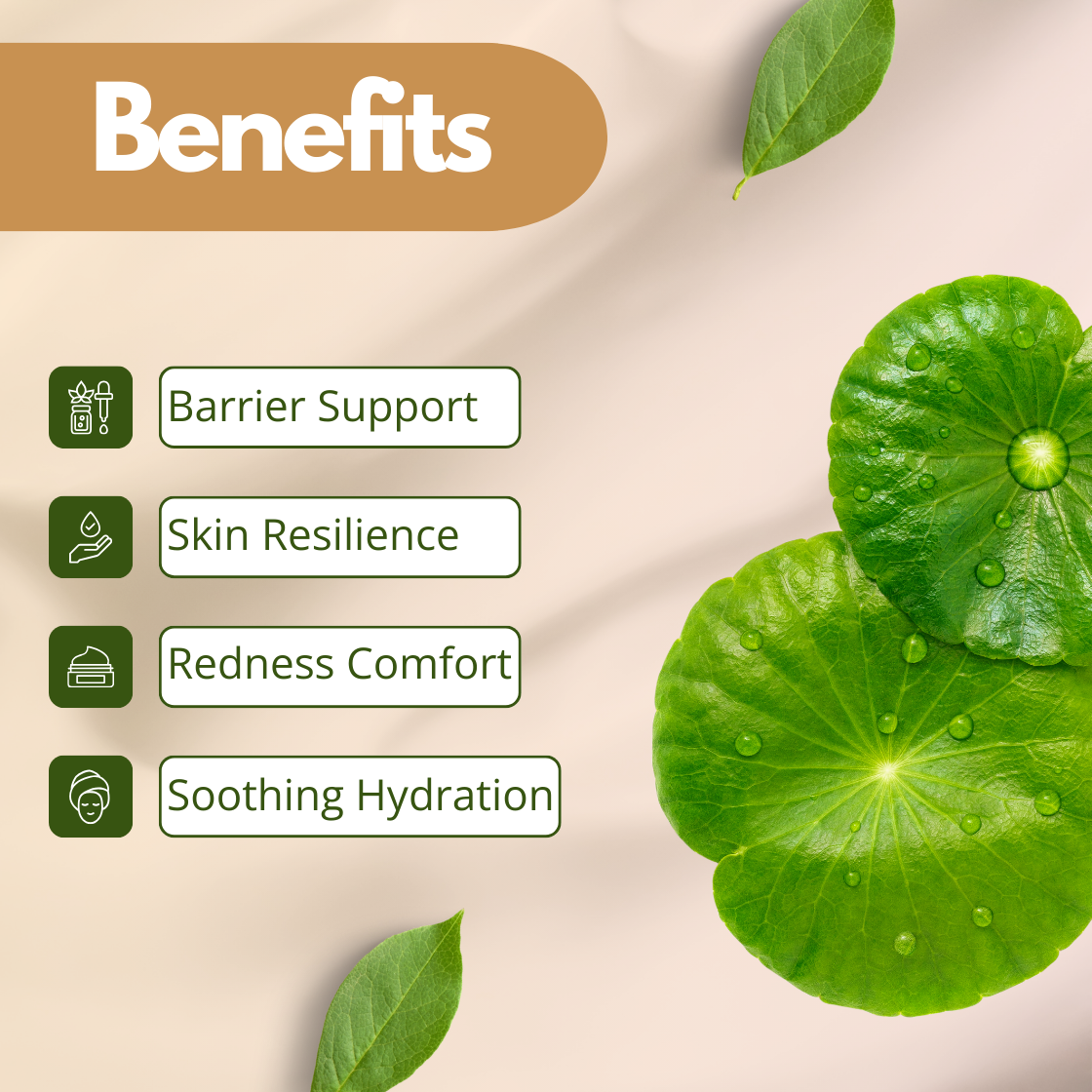 A professional botanical graphic for Cica Extract featuring two large, vibrant green, fan shaped Centella Asiatica leaves with prominent veins and small water droplets on their surface. The benefit list on the left includes: Barrier Support, Skin Resilience, Redness Comfort, and Soothing Hydration. The image is set against a soft, clean cream background with a floating green leaf and gentle shadows, highlighting the calming properties of this cosmetic grade extract.