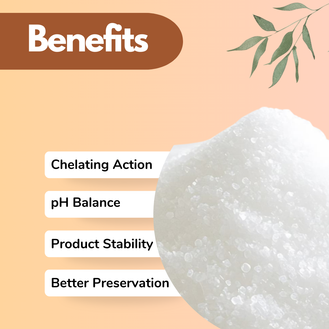 Infographic featuring Citric Acid cosmetic ingredient powder used in skincare formulations with benefits including Chelating Action, pH Balance, Product Stability and Better Preservation. Citric acid is an AHA cosmetic formulation ingredient used in skincare products, exfoliating treatments and cosmetic manufacturing to adjust pH levels and improve skin brightness.