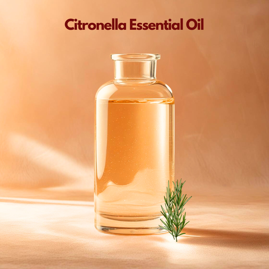 Cosmetic grade Citronella Essential Oil in a clear glass bottle with citronella leaves, suitable for personal care and wash off formulations.