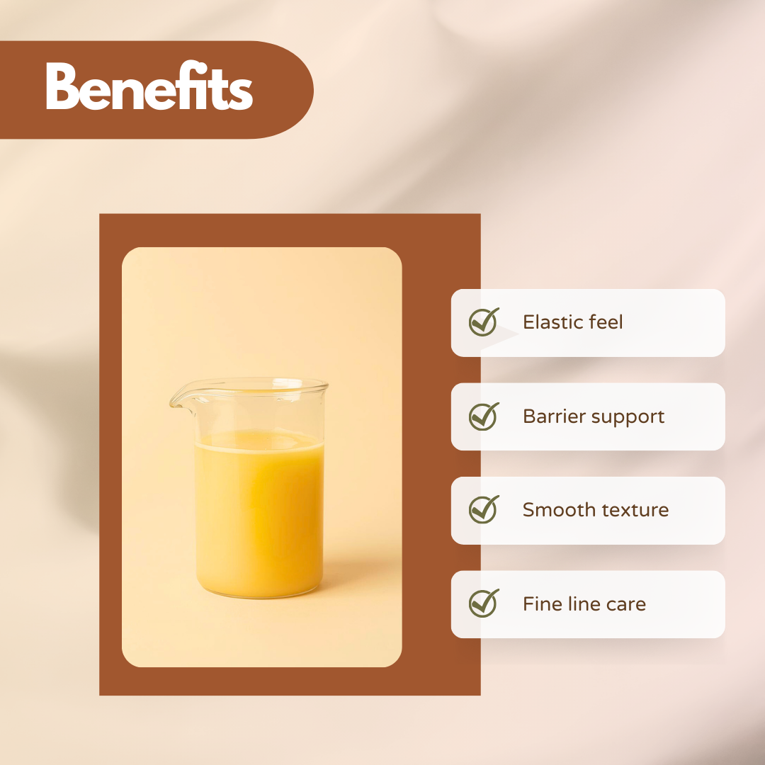 A transparent glass beaker filled with warm yellow liquid is placed inside a brown rectangular frame against a light neutral background. The liquid has a smooth, slightly creamy tone. To the right, the listed benefits include: Elastic Feel, Barrier Support, Smooth Texture, and Fine Line Care. The overall design blends laboratory precision with cosmetic elegance. This image represents a cosmetic active Co Enzyme Q10 Liquid ingredient used for improving skin texture and anti-aging performance.