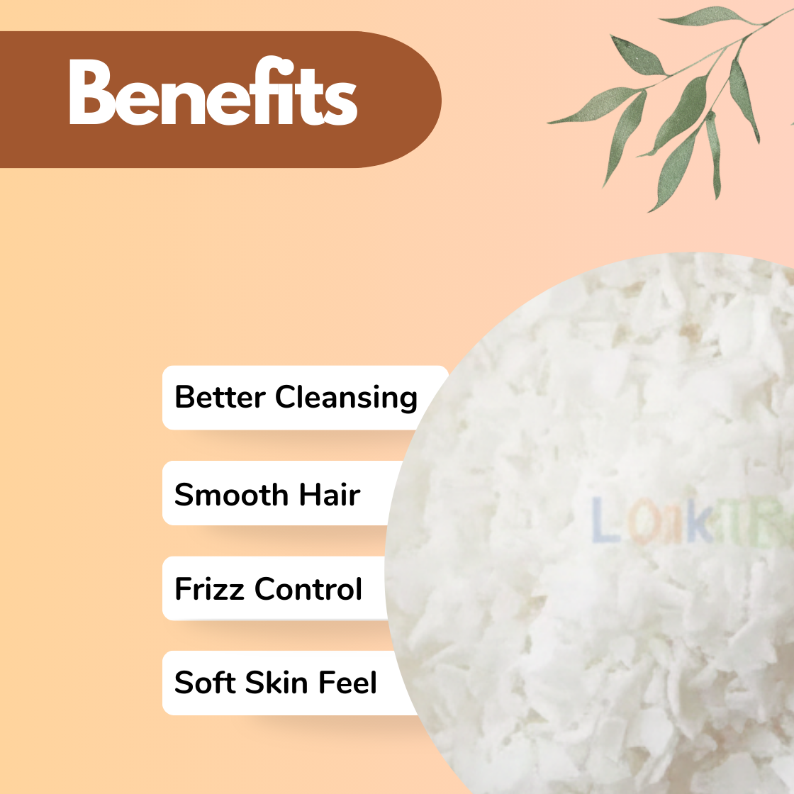 Image highlighting benefits of a Coco Mono Ethanol Amide CMEA in white flakes, possibly soap, on peach background. Lists benefits: Better Cleansing, Smooth Hair, Frizz Control, Soft Skin Feel. Decorative leaves are at the top right.