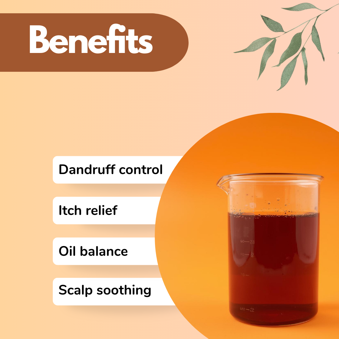 A laboratory beaker filled with rich dark red liquid is positioned against a vibrant orange circular background. The liquid appears concentrated and glossy. On the left, benefits include: Dandruff Control, Itch Relief, Oil Balance, and Scalp Soothing. Decorative botanical elements soften the scientific aesthetic. This image represents a hair and scalp care active Dandelix Pro ingredient used in cosmetic formulations for dandruff treatment and oil regulation.