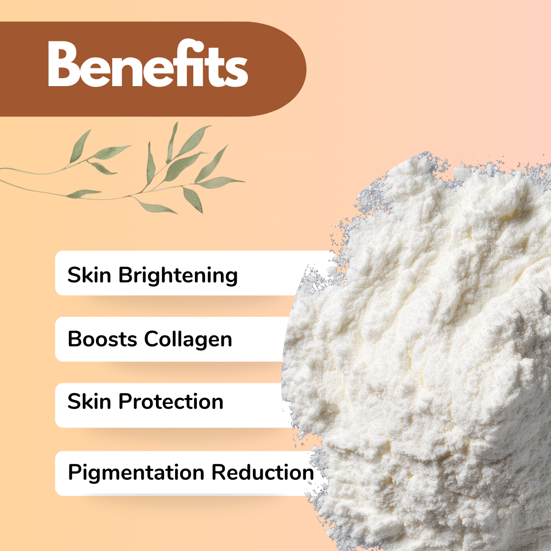 A large textured mound of bright white powder fills the right side of a soft beige background, appearing soft and cloud-like with fine granular details. On the left, the benefits listed are: Skin Brightening, Boosts Collagen, Skin Protection, and Pigmentation Reduction. Subtle leaf illustrations frame the layout. This image showcases a skin brightening cosmetic active Ethyl Ascorbic Acid ingredient widely used in anti-aging and pigmentation focused skincare formulations.