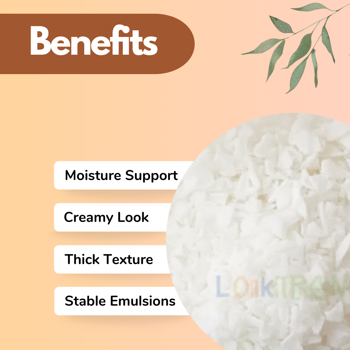 Peach background with "Benefits" of cosmetic ingredient "Ethylene Glycol Monostearate EGMS" and a plant illustration. Text lists benefits: Moisture Support, Creamy Look, Thick Texture, Stable Emulsions. Image of white flakes.