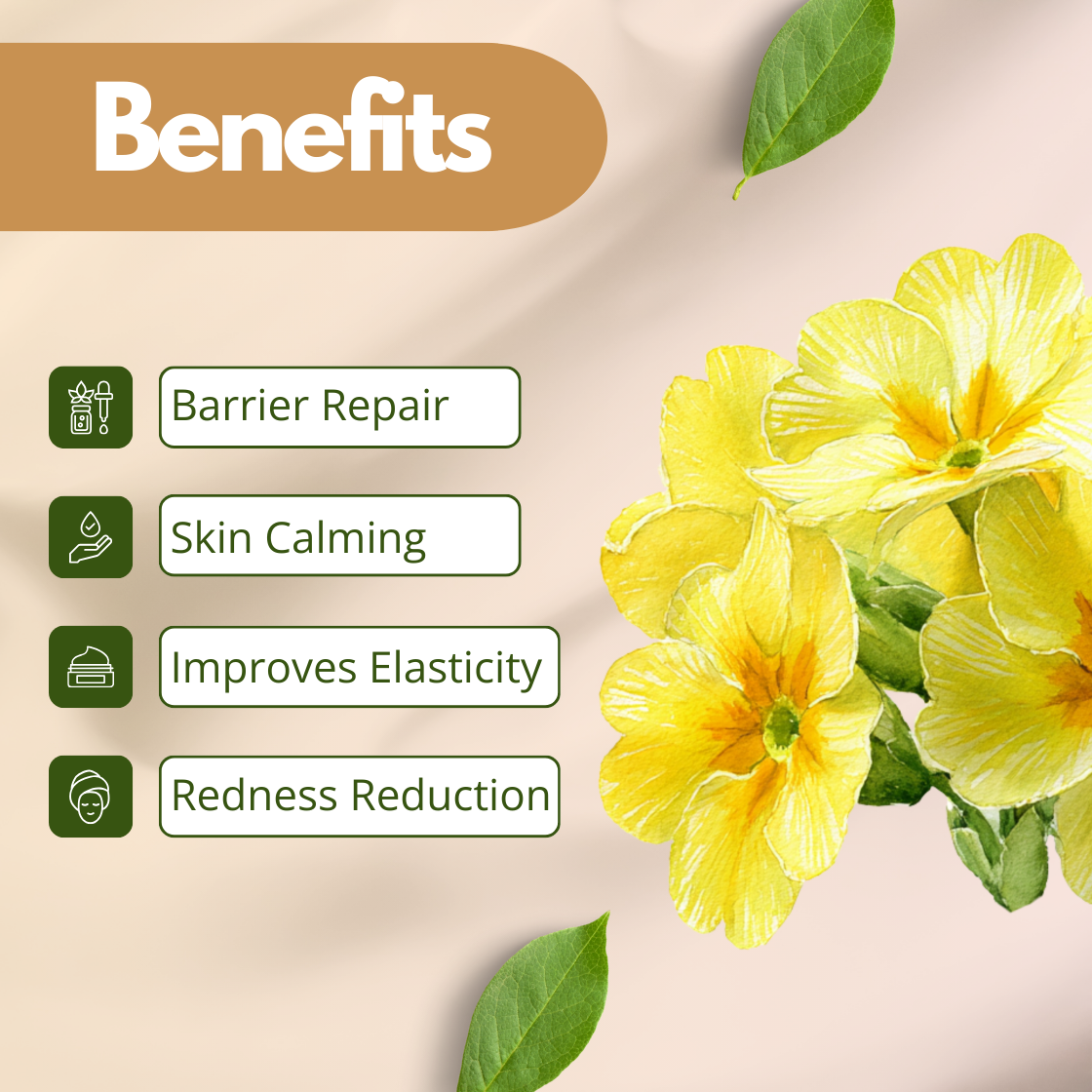 Yellow flowers and green leaves on the right, with text on the left listing skin benefits of Evening Primrose Oil : Barrier Repair, Skin Calming, Improves Elasticity, Redness Reduction.