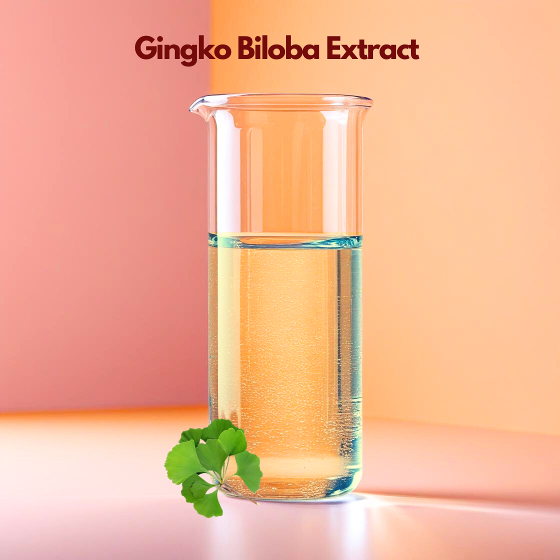 A botanical themed graphic for "Gingko Biloba Extract". The upper portion features the ingredient name in a bold maroon font. The visual focal point is a cluster of three bright green, fan shaped Ginkgo leaves characterized by their unique central notch and delicate parallel veins. The leaves appear to rest on a warm, neutral toned background with a soft, natural leaf shadow cast behind them.