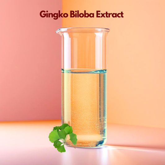 A botanical themed graphic for "Gingko Biloba Extract". The upper portion features the ingredient name in a bold maroon font. The visual focal point is a cluster of three bright green, fan shaped Ginkgo leaves characterized by their unique central notch and delicate parallel veins. The leaves appear to rest on a warm, neutral toned background with a soft, natural leaf shadow cast behind them.