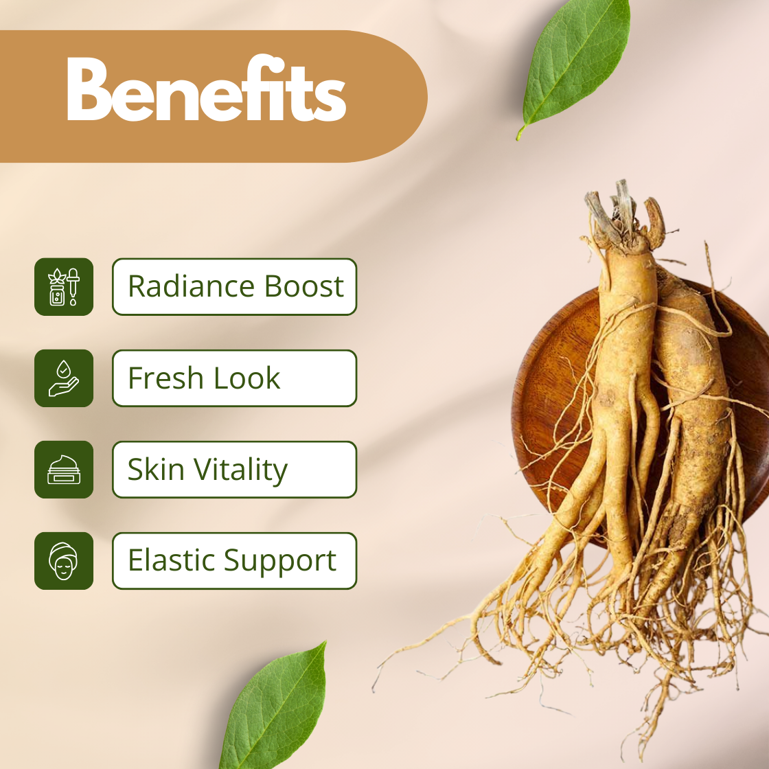 Ginseng Extract