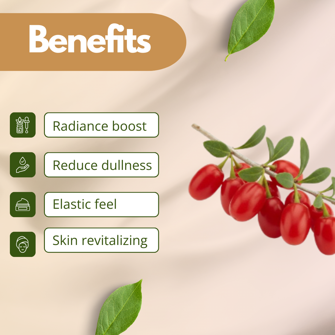 Cosmetic use extract infographic showing red goji berries attached to a small branch with green leaves. The image highlights benefits including Radiance boost, Dullness reduction, Elastic skin feel and Skin revitalization. This represents Goji Berry Extract used in anti aging skincare formulations, serums, creams and natural cosmetic products.