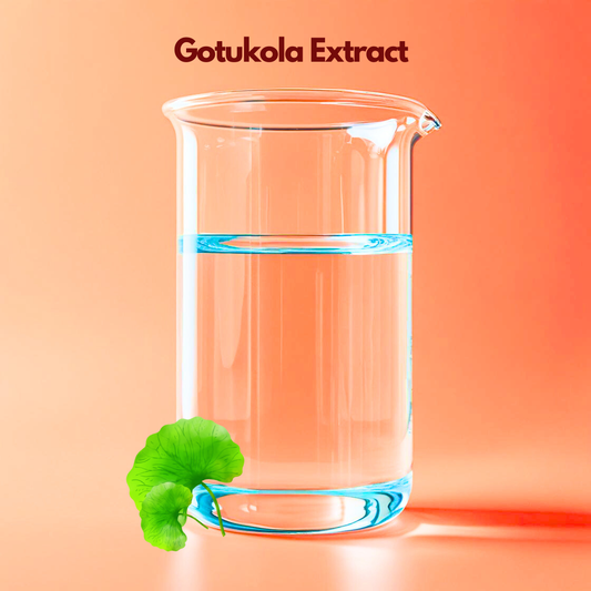 A tall laboratory beaker filled halfway with clear liquid is shown against a soft coral background labeled “Gotukola Extract.” Green rounded gotu kola leaves are illustrated at the bottom. This botanical extract is commonly used in skincare formulations for soothing, supporting skin repair and promoting hydration.