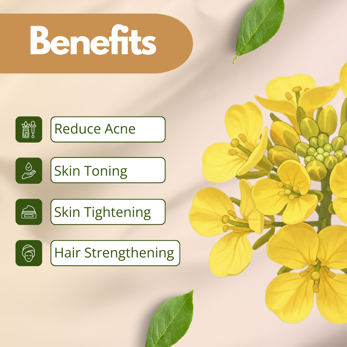 Graphic with the word 'Benefits'  of grapeseed oil highlighting Reduce Acne, Skin Toning, Skin Tightening, and Hair Strengthening alongside yellow flowers and green leaves on a soft beige background.