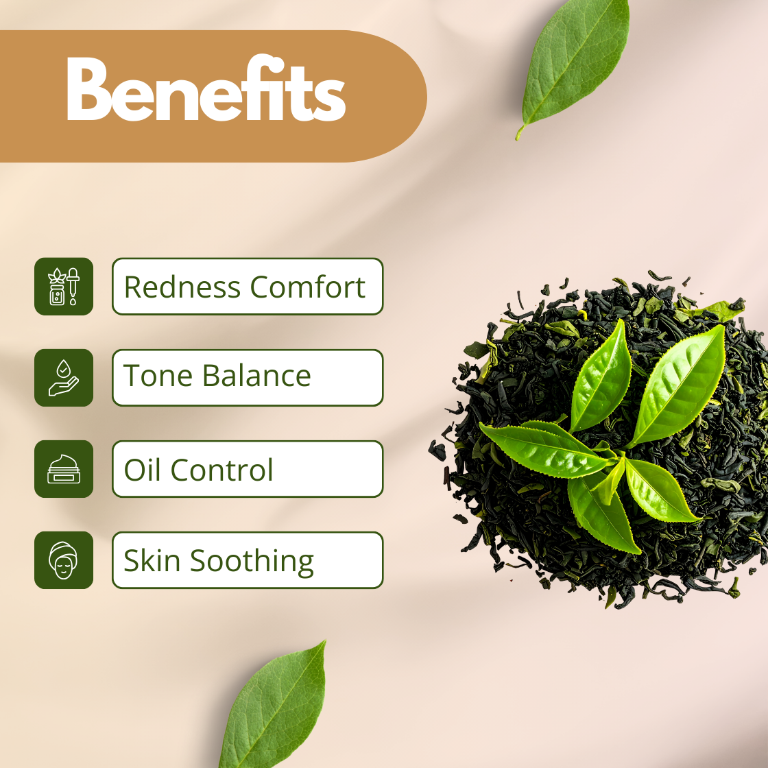 Benefits image of Green Tea Extract featuring green tea leaves, emphasizing redness comfort, oil control, tone balance and skin soothing. Cosmetic grade green tea extract used in skincare formulations as an antioxidant rich botanical ingredient for acne prone and oily skin cosmetic applications.