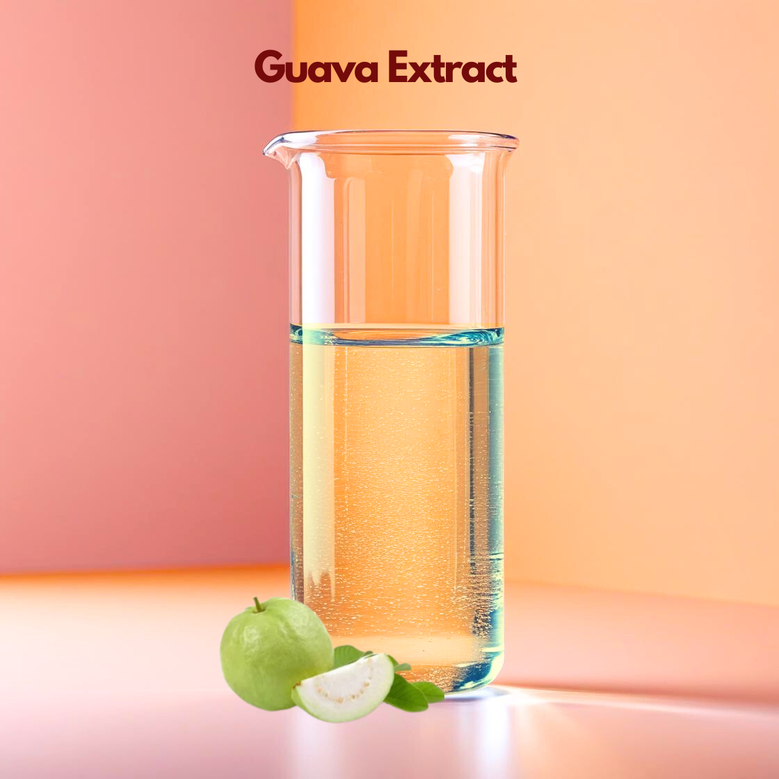 A fresh looking graphic for "Guava Extract" with the product name centered at the top in dark maroon. The image displays a whole, round green guava fruit alongside four thick, circular slices. The slices reveal a soft, pale pink interior packed with small, hard cream colored seeds. The fruit is presented on a minimalist tan background with realistic, soft focus shadows and floating green leaves.