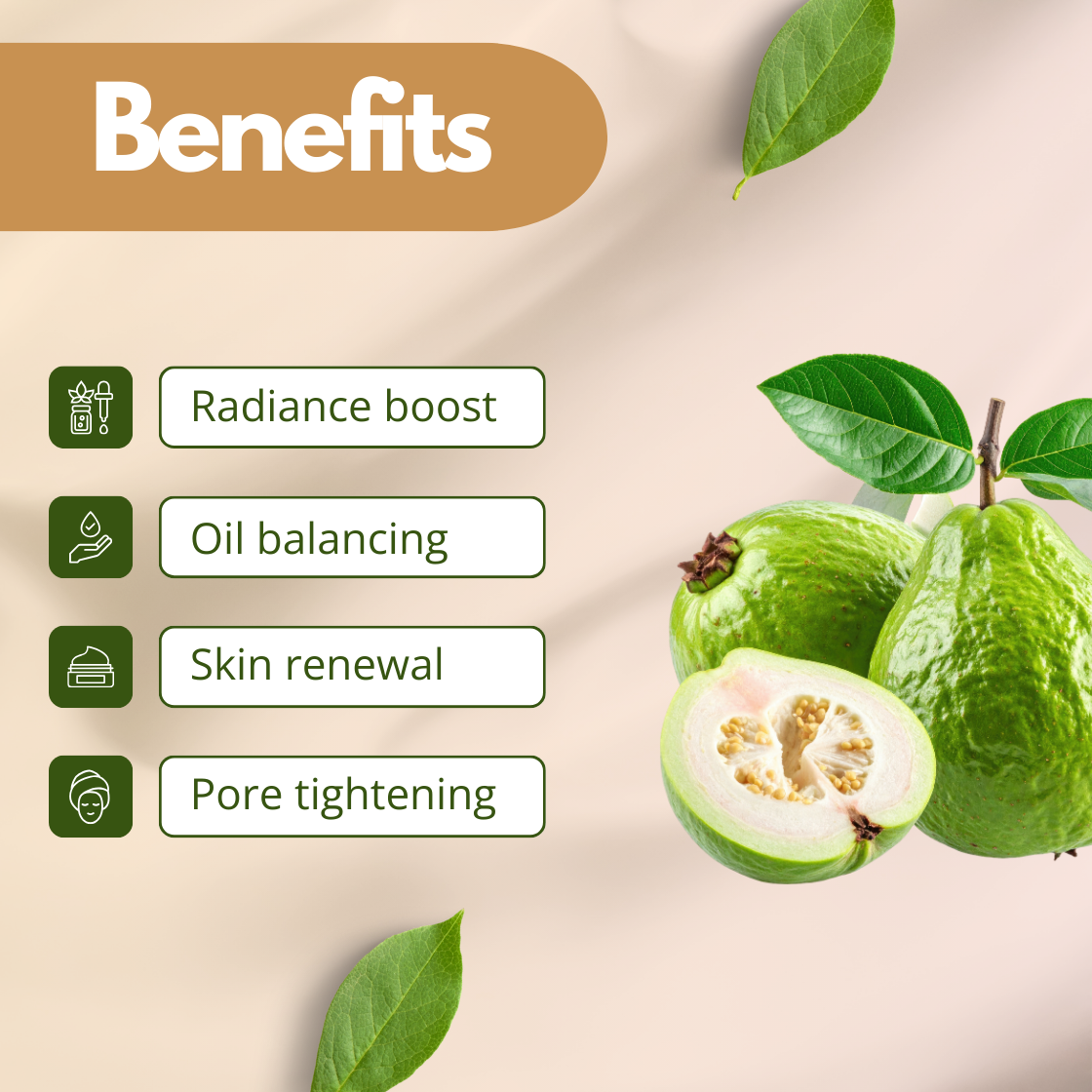 Natural skincare infographic featuring green guava fruit and sliced guava showing seeds inside. Listed benefits include Radiance boost, Oil balancing, Skin renewal and Pore tightening. This image represents "Guava Fruit Extract" used in cosmetic formulations such as face washes, toners, soaps and skin brightening products.