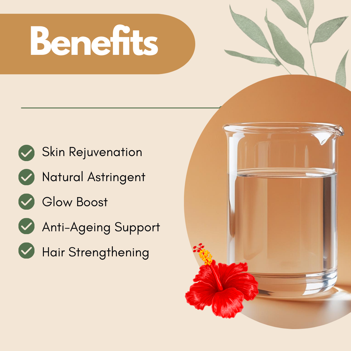 Benefits graphic with a clear liquid beaker and red hibiscus flower illustration. The text reads Skin Rejuvenation, Natural Astringent, Glow Boost, Anti Ageing Support, Hair Strengthening. This hibiscus hydrosol benefits image showcases its brightening and skin revitalizing botanical toner qualities.