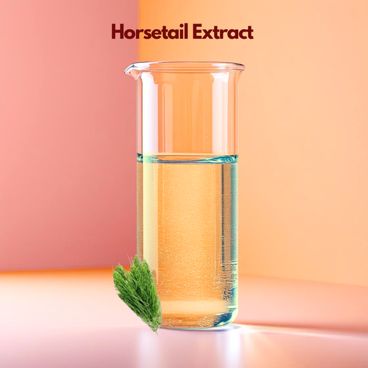 A botanical representation of "Horsetail Extract" showing the distinct segmented, jointed green stalks of the Equisetum plant. The clean, professional layout emphasizes the silica-rich properties of this extract for personal care.