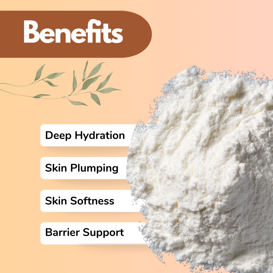 A detailed close up of fluffy white Hyaluronic Acid powder occupies the right half of a beige background, showing soft peaks and delicate texture. On the left, the benefits listed are: Deep Hydration, Skin Plumping, Skin Softness and Barrier Support. Light botanical graphics add a natural cosmetic appeal. This image represents a hydrating cosmetic active Hyaluronic Acid ingredient formulated for moisture retention, skin plumping, and barrier repair in advanced skincare products.
