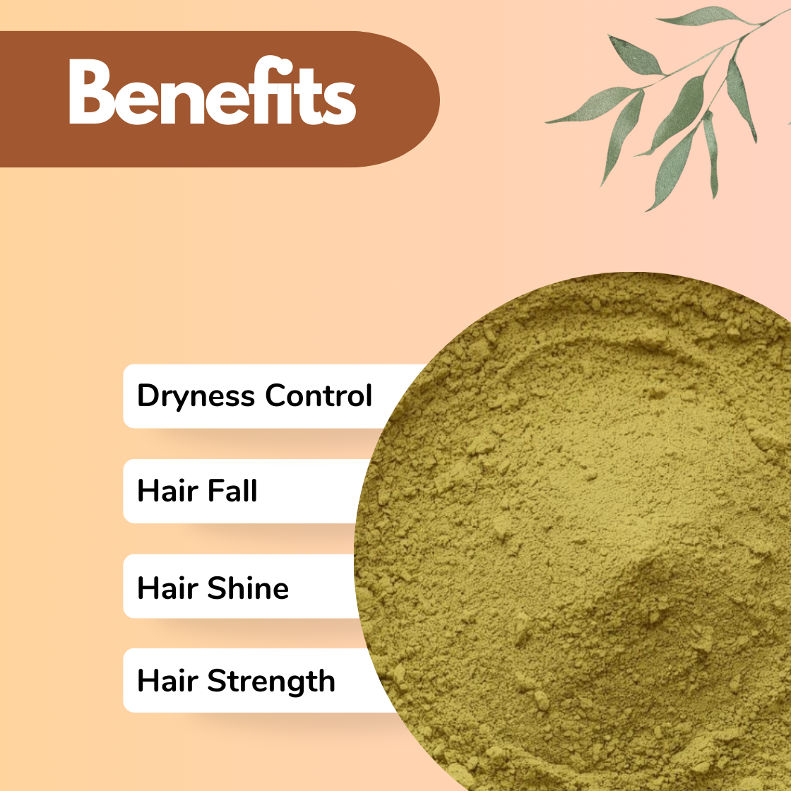 This Indigo green herbal powder appears smooth and finely ground. The benefit labels highlight Dryness Control, Hair Fall reduction, Hair Shine and Hair Strength. The image clearly communicates a nourishing Ayurvedic herbal powder designed for strengthening weak hair strands and restoring natural shine in botanical hair masks.