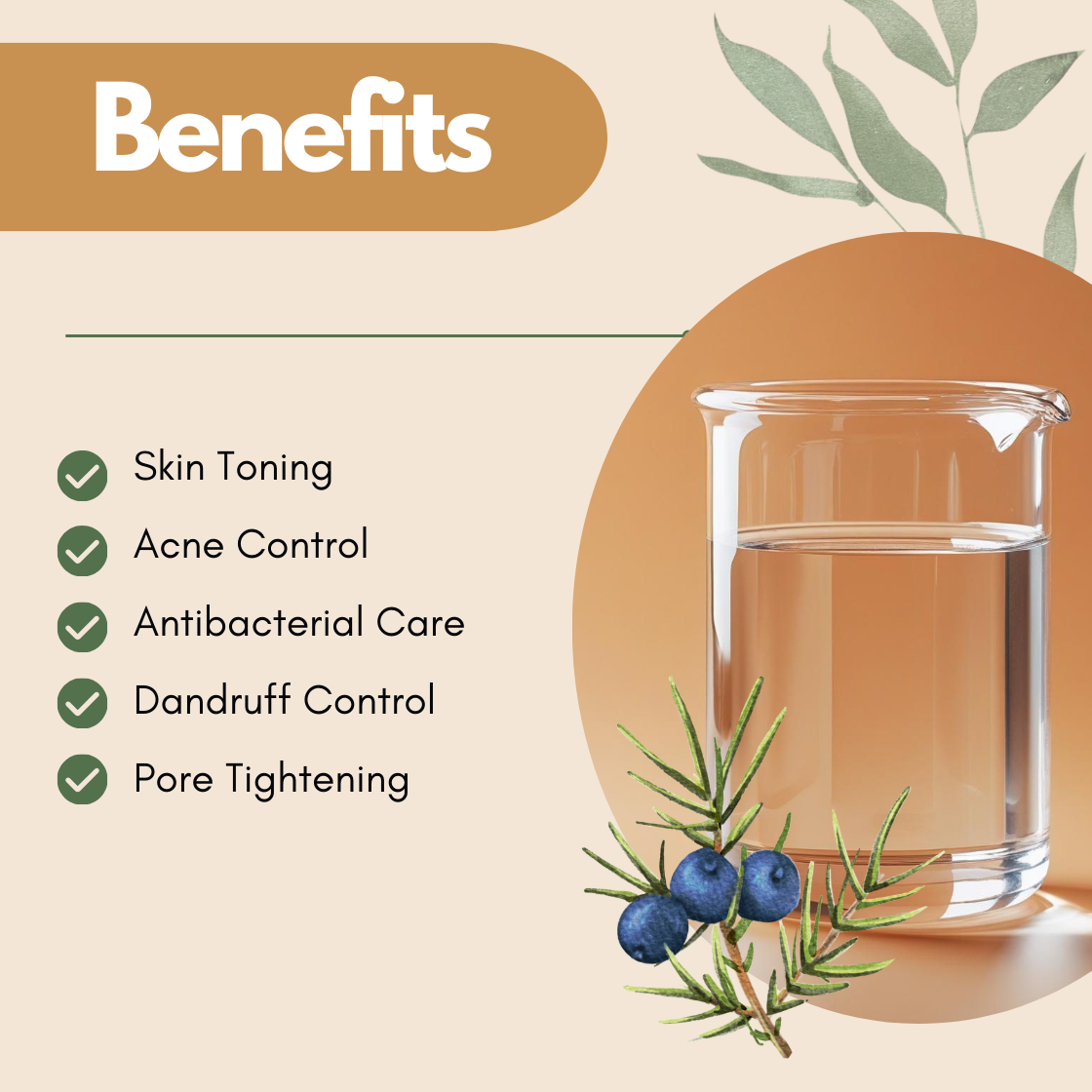 Benefits layout with a beaker of clear liquid and juniper berries illustration. The text reads Skin Toning, Acne Control, Antibacterial Care, Dandruff Control, Pore Tightening. This juniper hydrosol benefits image presents it as a clarifying botanical facial toner for oily and acne prone skin.