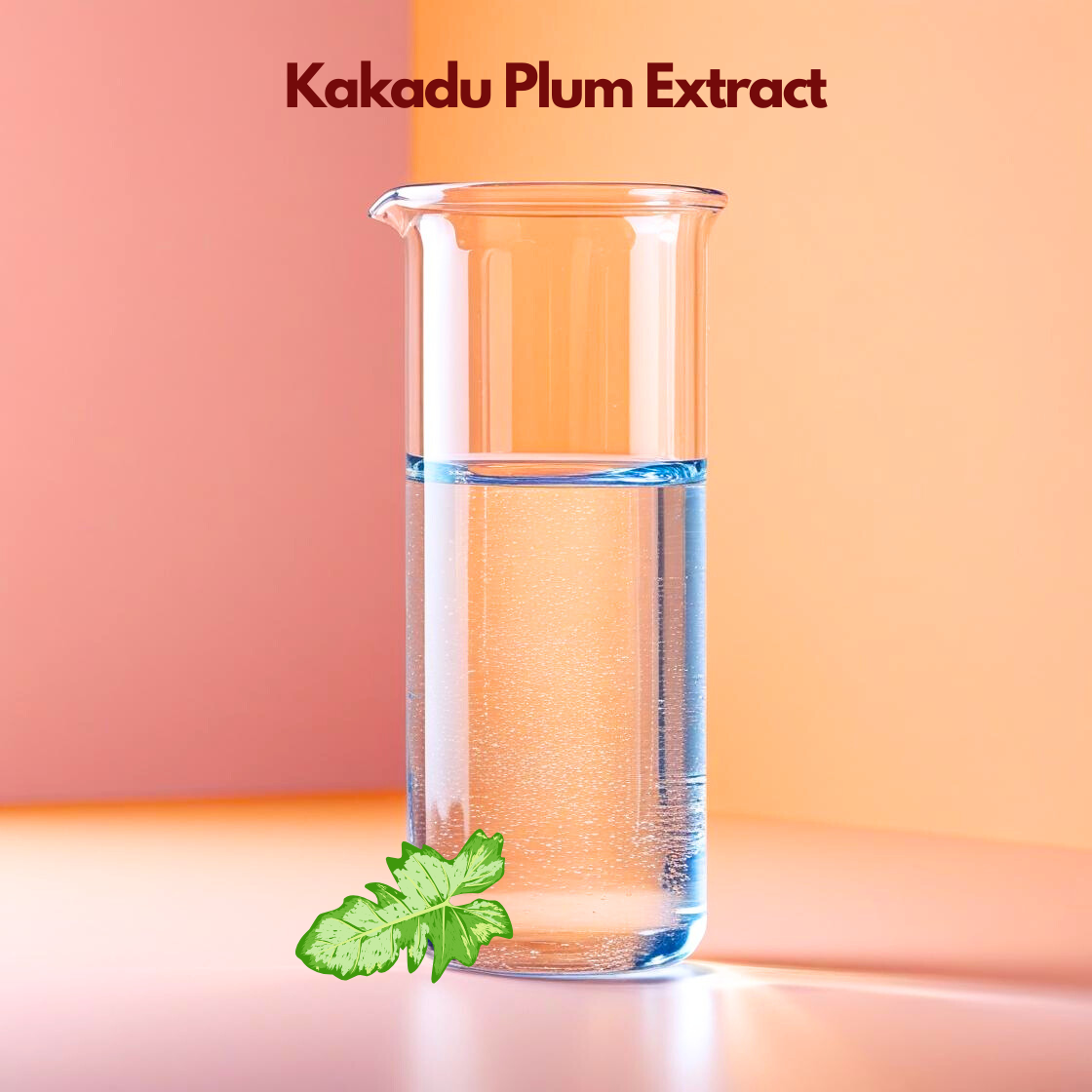 A clear laboratory beaker filled halfway with transparent liquid stands against a peach gradient background labeled “Kakadu Plum Extract,” with green leaves at the base. This cosmetic grade botanical extract is valued in skincare formulations for high vitamin C content, antioxidant protection and brightening cosmetic applications.