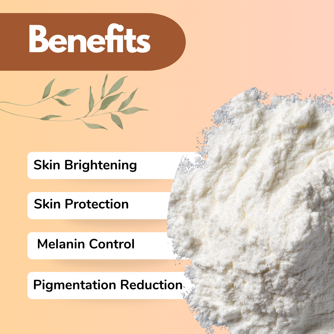 A warm beige background features a  textured mound of ultra fine white powder positioned on the right side of the image. The Kojic Acid Dipalmitate powder appears soft and slightly fluffy, with delicate shadows that highlight its fine cosmetic grade texture. On the left a rounded brown banner reads “Benefits” followed by four highlighted points: Skin Brightening, Skin Protection, Melanin Controland Pigmentation Reduction. Minimal green leaf illustrations add a natural touch. This image represents a skincare
