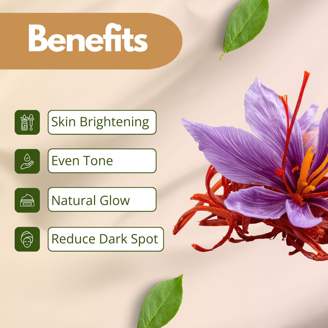 Benefits infographic for pure cold pressed kumkumadi carrier oil: skin healing, skin brightening, even tone, natural glow | Kumkumadi Oil