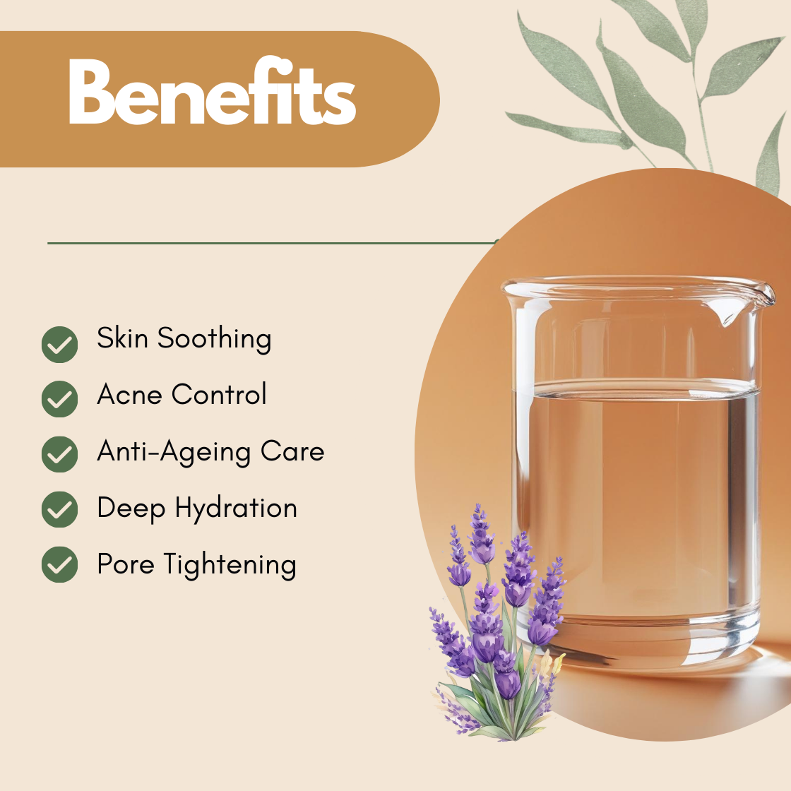 Benefits image showing a glass beaker with lavender flowers illustration. The text reads Skin Soothing, Acne Control, Anti Ageing Care, Deep Hydation, Pore Tightening. This lavender hydrosol benefits graphic highlights its calming floral mist properties for acne prone and sensitive skin.