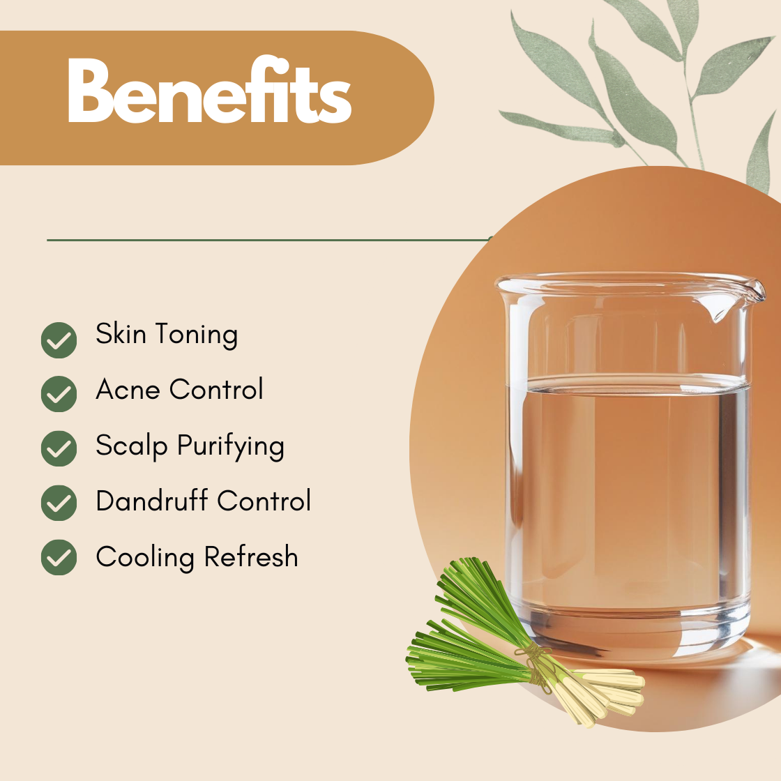 Benefits image featuring a beaker and lemongrass bundle illustration. The text reads Skin Toning, Acne Control, Scalp Purifying, Dandruff Control, Cooling Refresh. This lemongrass hydrosol benefits graphic emphasizes its refreshing botanical mist for scalp and oily skin care.