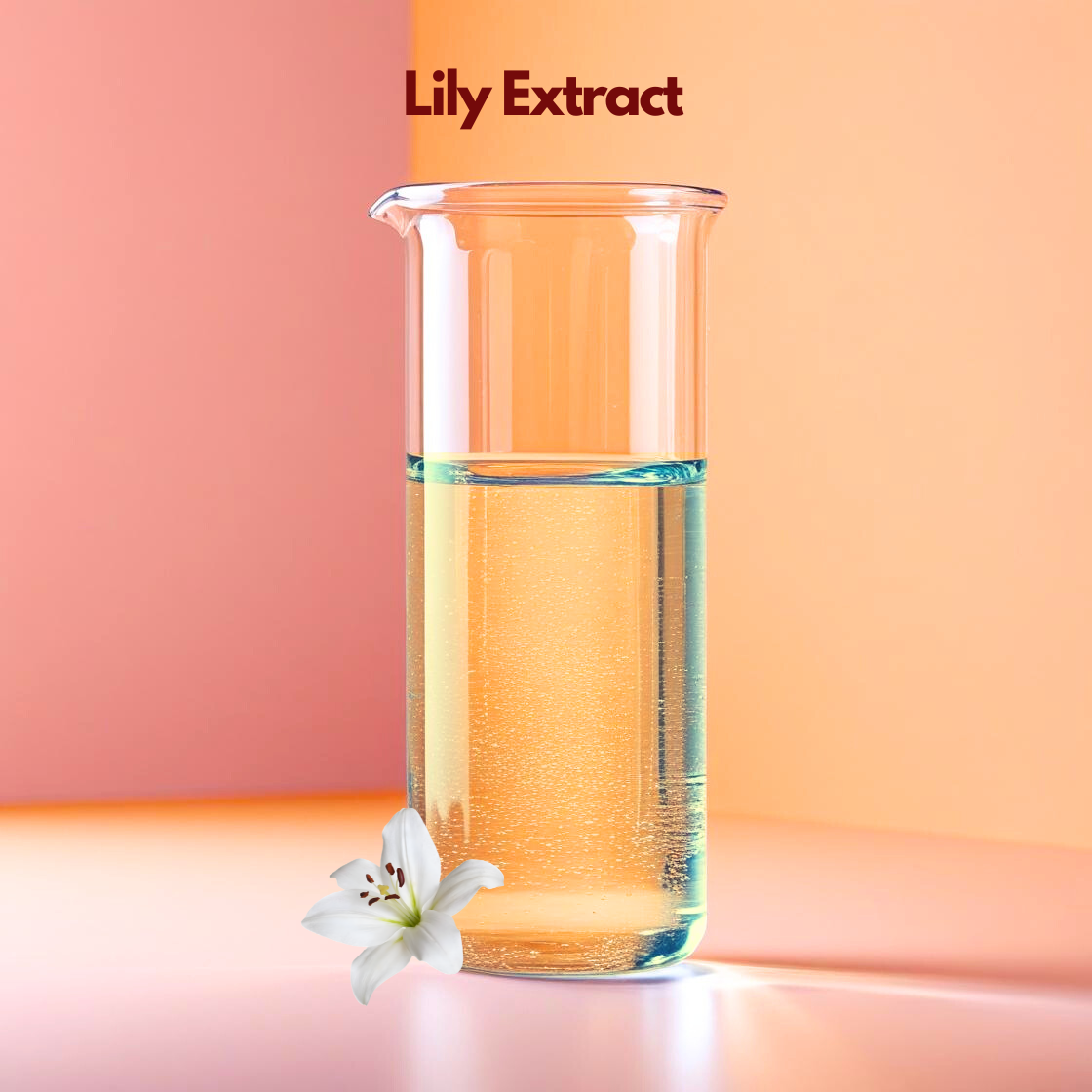 An elegant graphic for "Lily Extract" featuring the ingredient name at the top in bold maroon. The image showcases large, white lily flowers in full bloom. The flowers have long, recurved petals and prominent green stamens at the center. They are set against a soft, clean cream colored background with gentle shadows and two floating green leaves.
