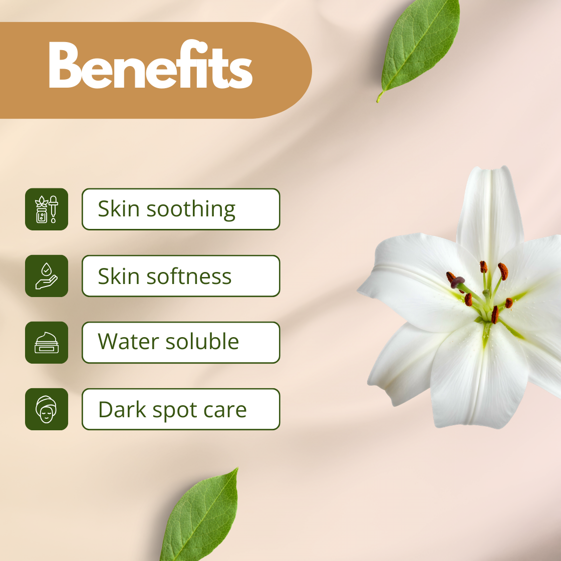 Botanical skincare infographic displaying a white lily flower alongside cosmetic benefits including skin soothing, skin softening, water soluble formulation compatibility, and dark spot care. The image represents "Lily Flower Extract" used in cosmetic formulations such as face serums, lotions, brightening creams and natural skincare products.