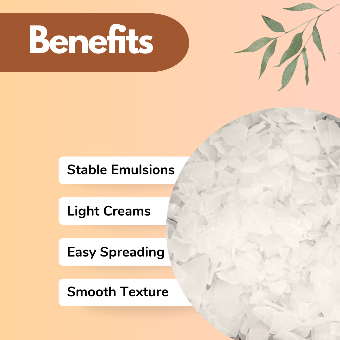 Lotion Pro (Glyceryl Stearate & PEG-100 Stearate)