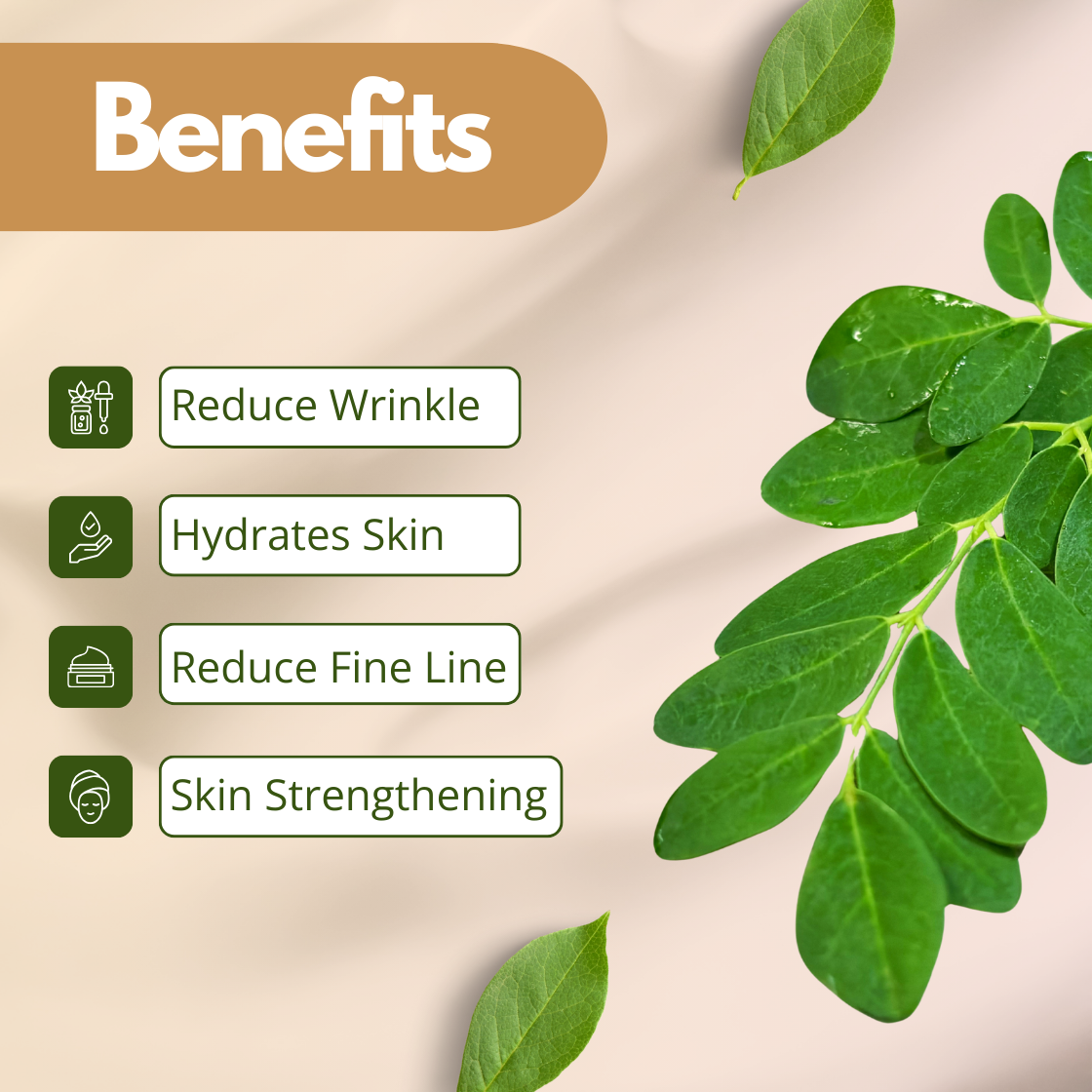 Image lists four skincare benefits of Moringa oil alongside green leaves on a beige background: Reduce Wrinkle, Hydrates Skin, Reduce Fine Line, Skin Strengthening.