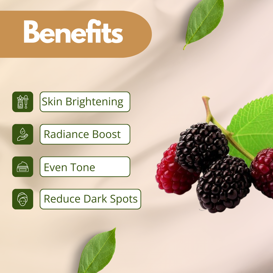 Benefits image of Mulberry Extract displaying black and red mulberries with green leaves, highlighting skin brightening, radiance boost, even tone, and dark spot reduction. Cosmetic grade mulberry extract used in skincare formulations for pigmentation support and antioxidant cosmetic applications.