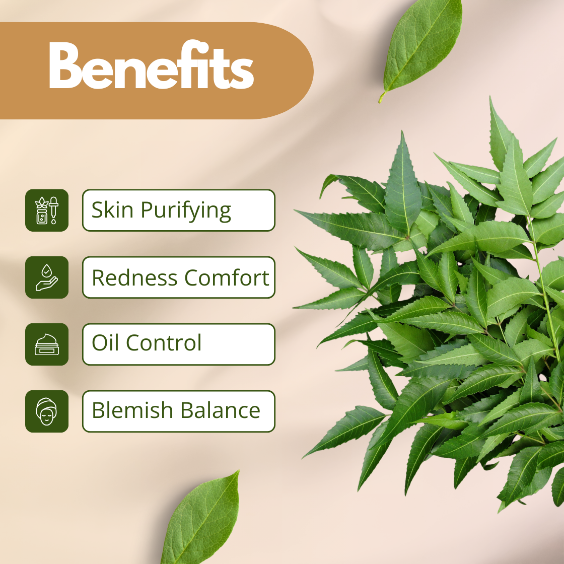 Benefits image of Neem Extract showing fresh neem leaves, emphasizing skin purifying, oil control, blemish balance and redness comfort. Cosmetic grade neem extract used in skincare formulations for acne care, clarifying treatments and purifying cosmetic products.
