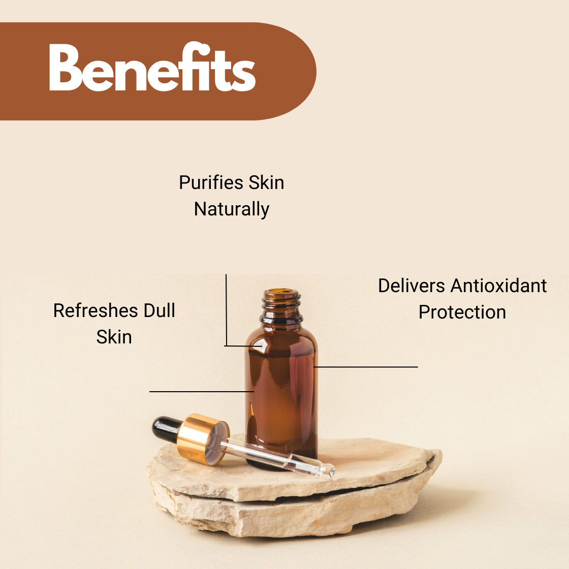 Nutmeg Essential oil purifying formula graphic highlighting skin detoxification and antioxidant skin protection.