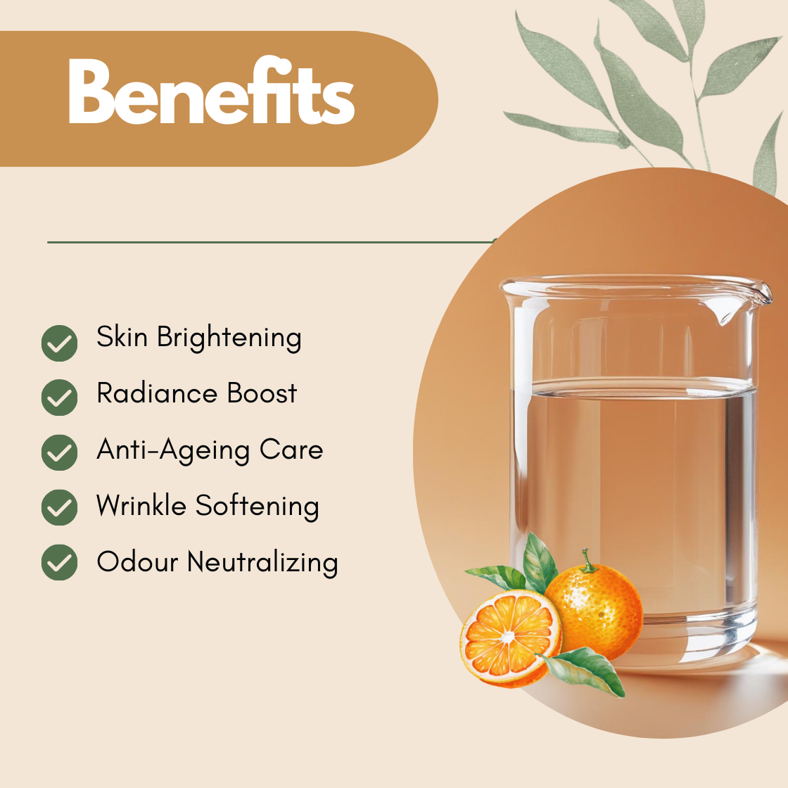 Benefits graphic showing a glass beaker and orange fruit illustration. The text reads Skin Brightening, Radiance Boost, Anti Ageing Care, Wrinkle Softening, Odour Neutralizing. This orange hydrosol benefits image highlights its refreshing citrus floral water for glowing skin.
