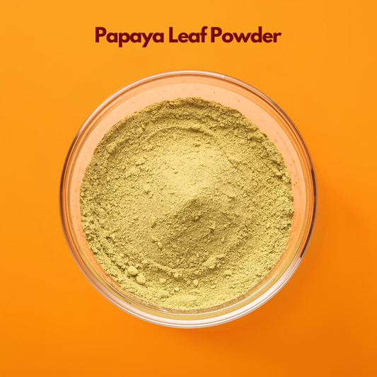 Papaya leaf powder in a glass bowl, herbal powder used for skin brightening, anti-aging face packs, and Ayurvedic skincare formulations, ideal for DIY beauty and cosmetic applications.