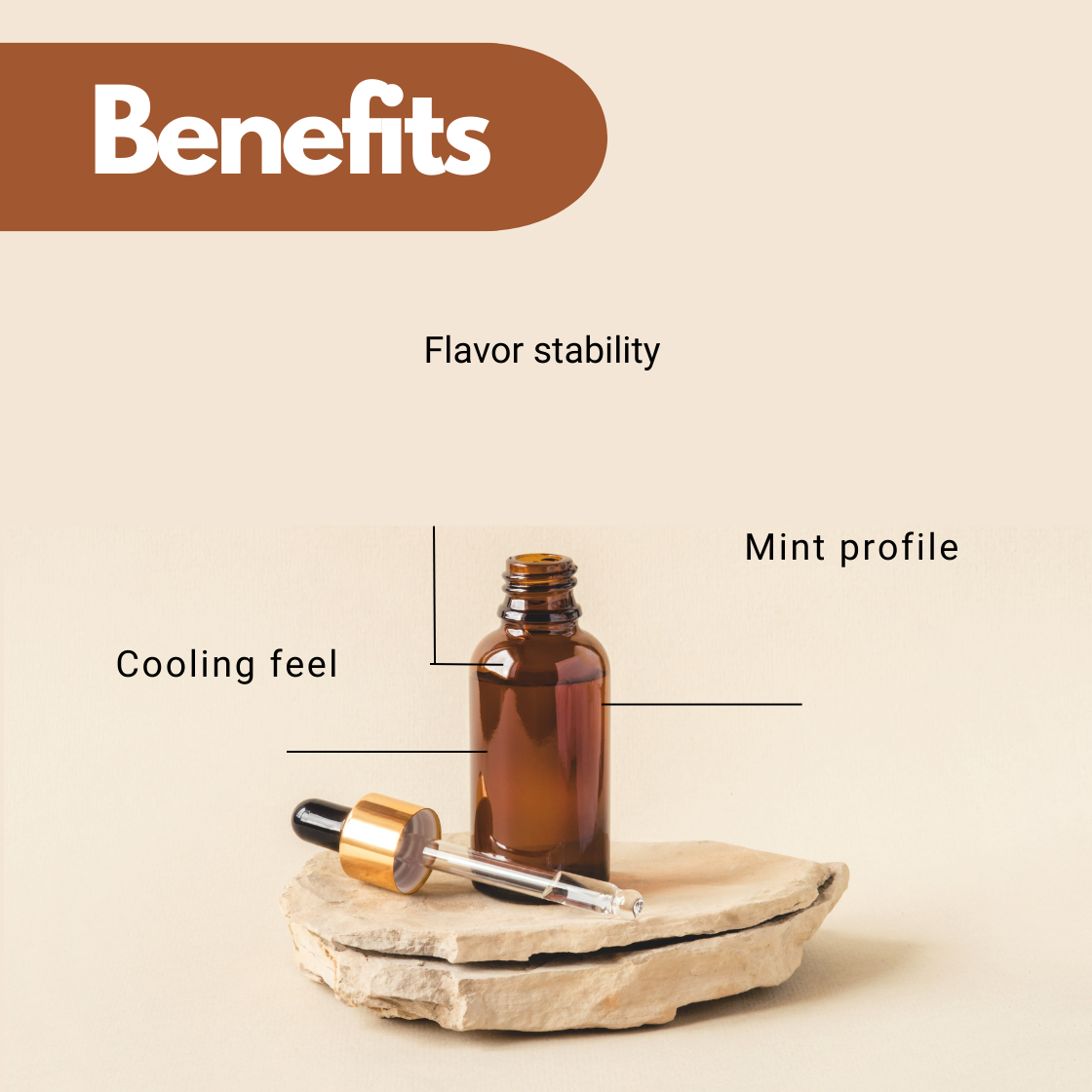 Brown bottle and dropper on stone against beige background. Labels: "Benefits," of "Peppermint Lip Flavor Oil" "Flavor stability," "Mint profile," "Cooling feel." Minimalist style.