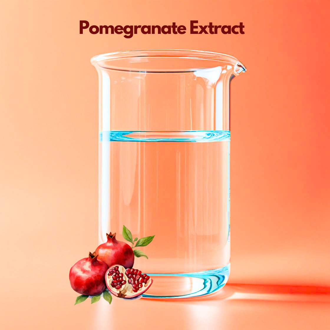  A clear laboratory beaker filled halfway with transparent liquid is displayed on a warm peach background labeled “Pomegranate Extract.” Whole and sliced pomegranates with visible red seeds are placed at the base. This extract is valued in cosmetic skincare formulations for antioxidant protection, hydration support and improving skin appearance.