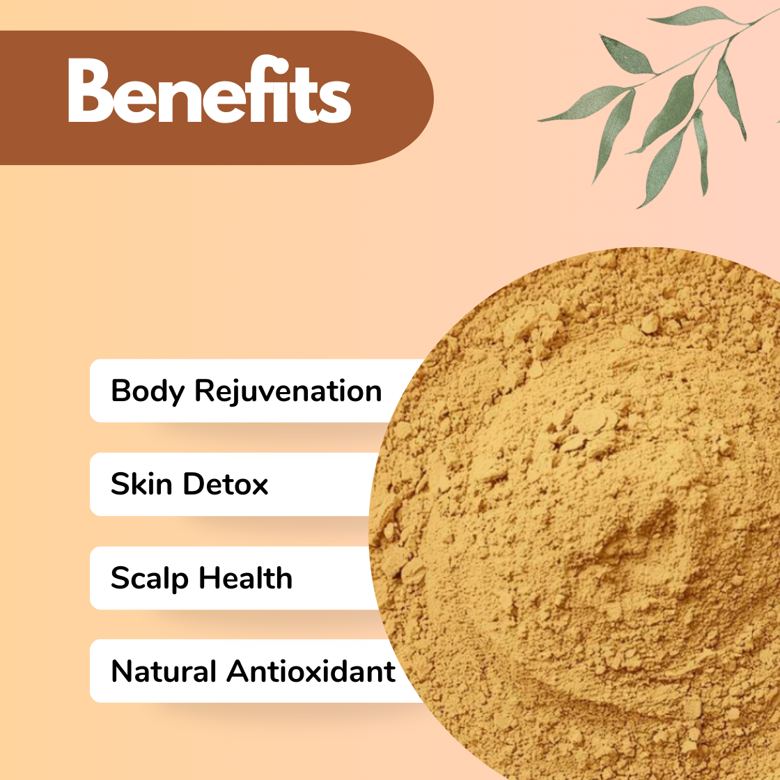 Benefits image showing a Pomegranate Peel herbal powder with soft texture beneath a Benefits heading. The listed advantages Body Rejuvenation, Skin Detox, Scalp Health, and Natural Antioxidant describe this botanical powder as a versatile ingredient for both skincare and herbal hair care formulations.