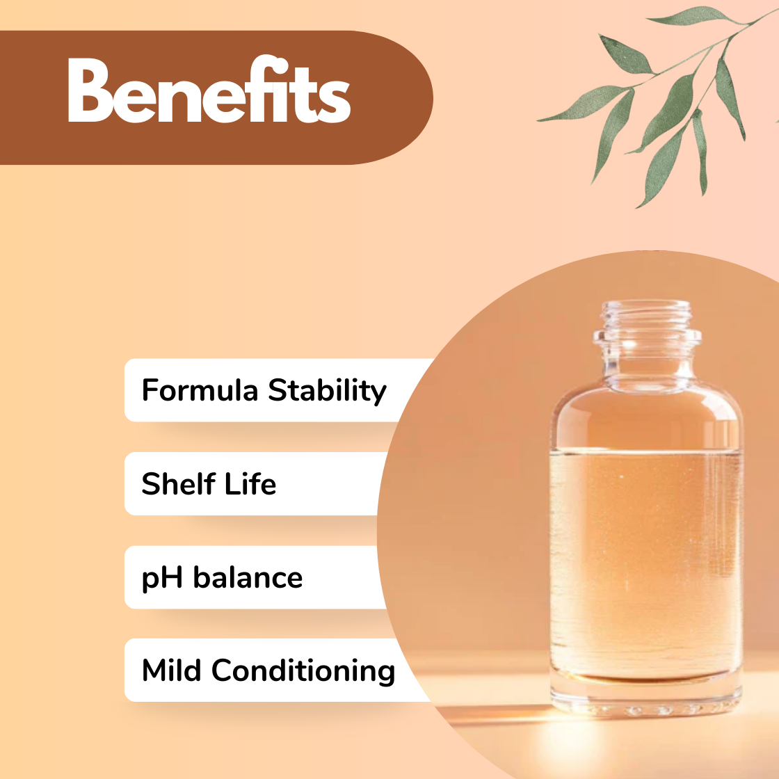 Image showcasing the benefits of a Preservative Eco . Left side lists 'Formula Stability,' 'Shelf Life,' 'pH Balance,' and 'Mild Conditioning' in text boxes. Right side features a clear bottle filled with liquid, set against a soft peach background with green leaves, conveying a calm and natural tone."