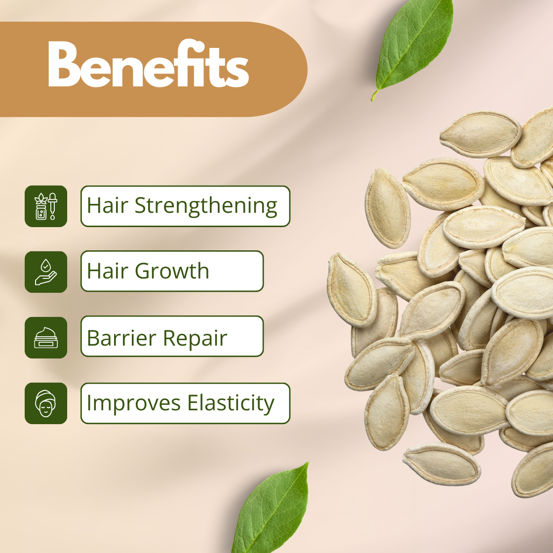 Image showing benefits of pumpkin seed oil with a beige background. Left side lists benefits: Hair Strengthening, Hair Growth, Barrier Repair, Improves Elasticity, with icons. Right side features a pile of pumpkin seeds and green leaves, conveying a natural tone.