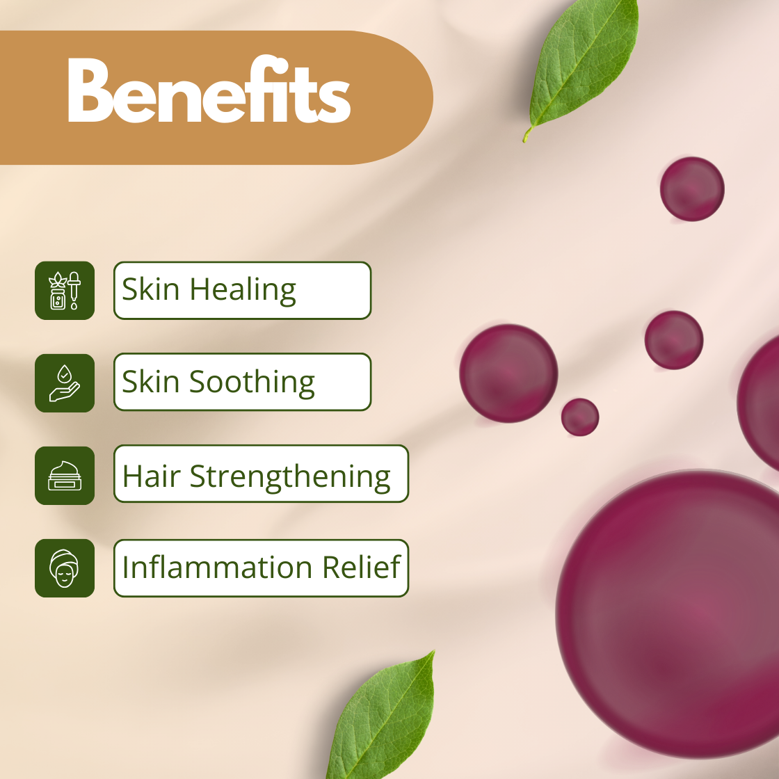 Image titled 'Benefits' of a Ratanjot oil   with a beige background. Features icons and text highlighting benefits: Skin Healing, Skin Soothing, Hair Strengthening, and Inflammation Relief. Purple spheres and green leaves add organic elements.