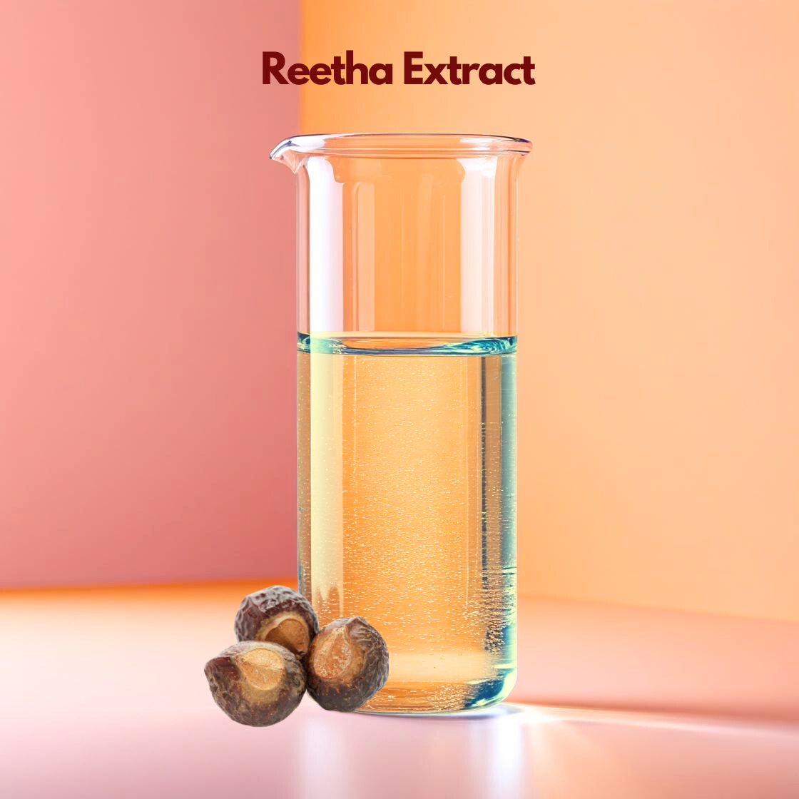 An informative graphic for "Reetha Extract" with the product name featured at the top in bold maroon. The image showcases a cluster of dried soapnuts (Reetha), which are dark brownish black with a wrinkled, leathery texture. They are mounded in the center of a clean, light tan background accented by floating green leaves and soft shadows.