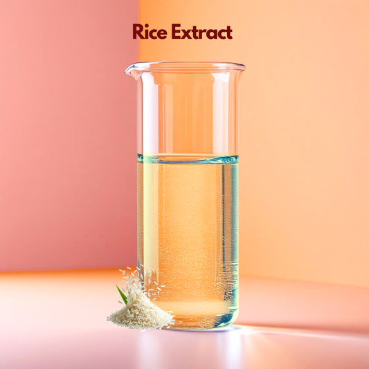 A clean botanical graphic for "Rice Extract" featuring the product name in dark maroon at the top. The image showcases a rustic wooden bowl filled with uncooked, long grain white rice grains. Several loose rice grains and a few green leaves are artistically scattered around the bowl on a soft cream colored background with natural shadows.