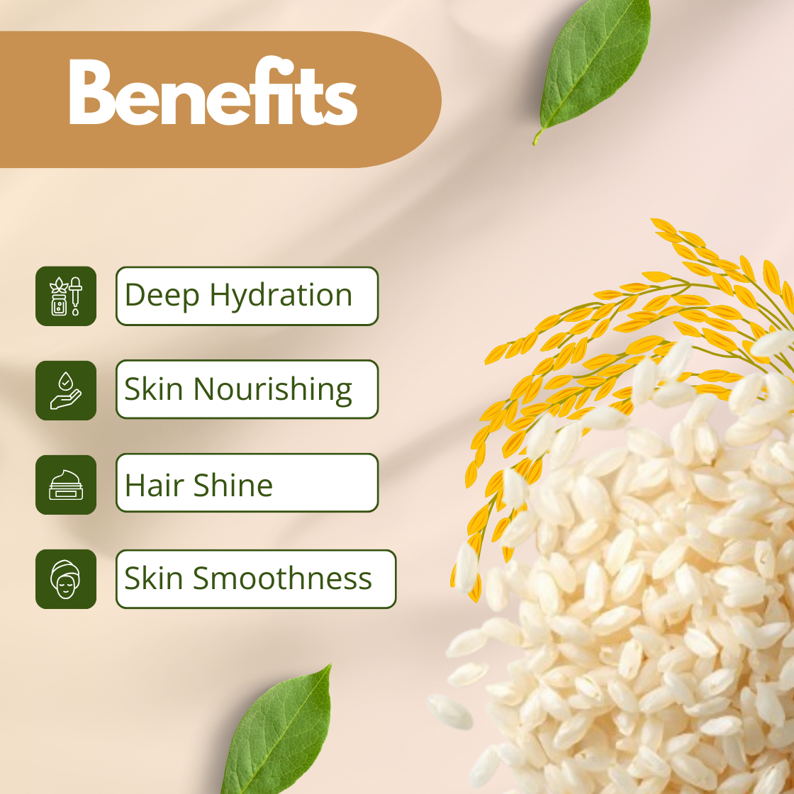 Promotional image highlighting benefits of a Rice Bran Oil: deep hydration, skin nourishing, hair shine, and skin smoothness. Features rice grains and green leaves on a soft background.