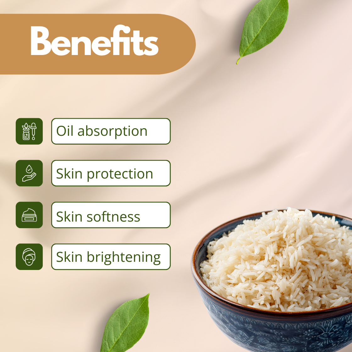 Cosmetic use "Extract" infographic showing a bowl filled with white rice grains representing "Rice Extract" used in skincare formulations. The image highlights benefits such as Oil Absorption, Skin Protection, Skin Softening and Skin Brightening on a beige background with green leaves. This graphic represents rice extract used in natural cosmetics, soap making, face masks and skin brightening personal care products