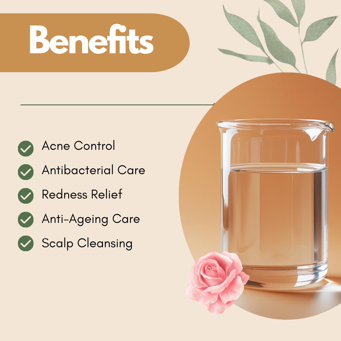 Benefits layout with a glass beaker and pink rose illustration. The text reads Acne Control, Antibacterial Care, Redness Relief, Anti Ageing Care, Scalp Cleansing. This rose hydrosol benefits image highlights its soothing floral water for balanced and refreshed skin.