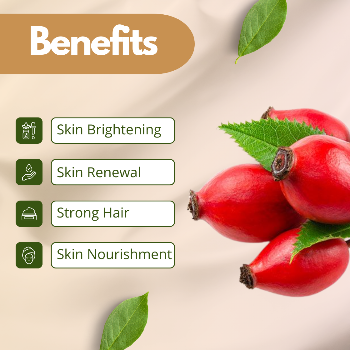 Rosehip Extract